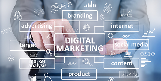 AdobeStock_221523031